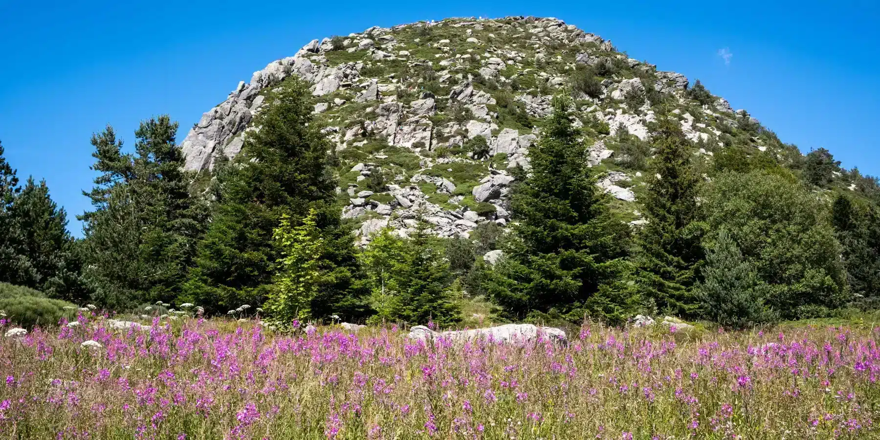 mont gerbier_04