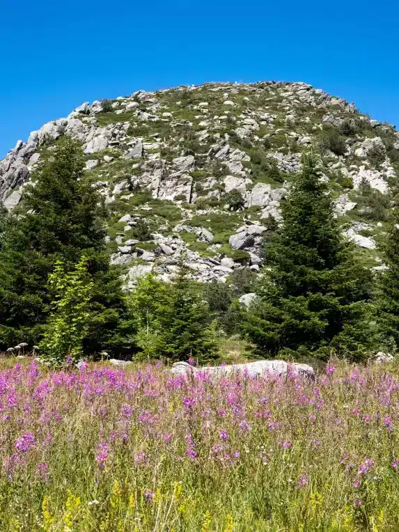 mont gerbier_04